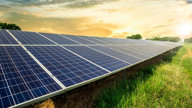 Rijen zonnepanelen in een veld bij zonsondergang