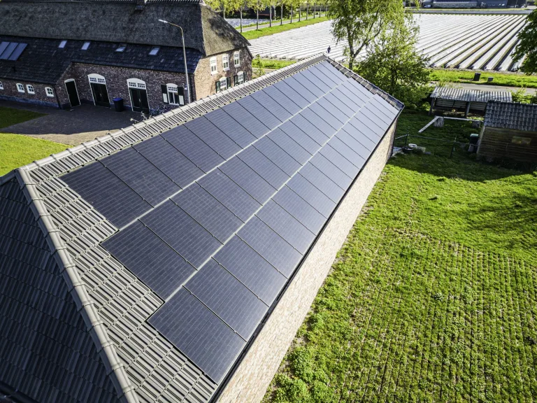 Schuurdak volledig belegd met zwarte zonnepanelen, met een rietgedekte boerderij ernaast